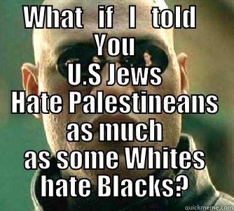 Truth about Racism - WHAT   IF   I   TOLD   YOU U.S JEWS HATE PALESTINEANS AS MUCH AS SOME WHITES HATE BLACKS? Matrix Morpheus