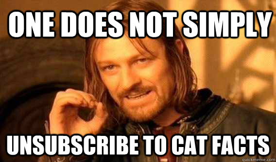 one does not simply unsubscribe to cat facts  Lord of The Rings meme