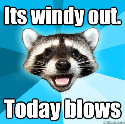 Its windy out. Today blows  Lame Pun Coon