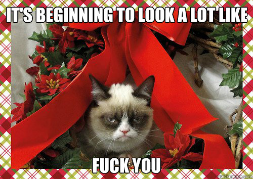 it's beginning to look a lot like fuck you  A Grumpy Cat Christmas