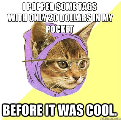 I popped some tags
 with only 20 dollars in my pocket before it was cool.  Hipster Kitty