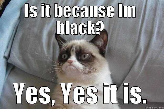 IS IT BECAUSE IM BLACK? YES, YES IT IS. Grumpy Cat