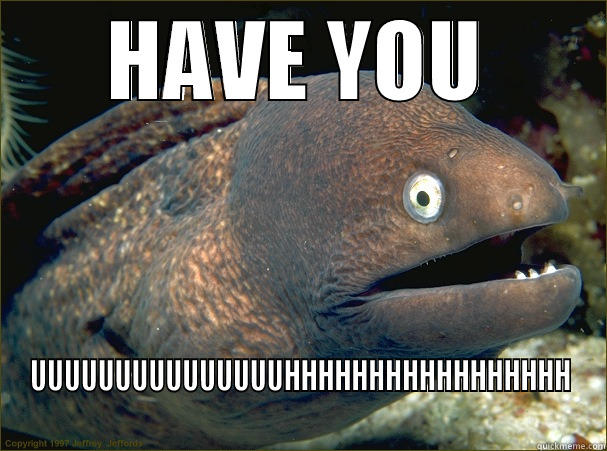 FORGOT IT ELL - HAVE YOU UUUUUUUUUUUUUUUHHHHHHHHHHHHHHHHH Bad Joke Eel