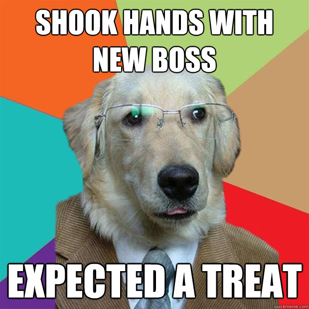 shook hands with new boss expected a treat  Business Dog