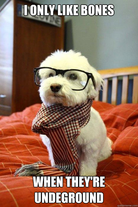 I only like bones when they're undeground  Hipster Dog