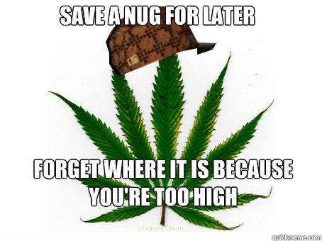 Save a nug for later forget where it is because you're too high  Scumbag Marijuana