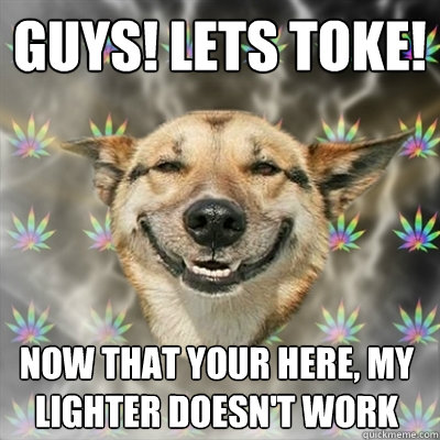 Guys! lets toke! now that your here, my lighter doesn't work  Stoner Dog