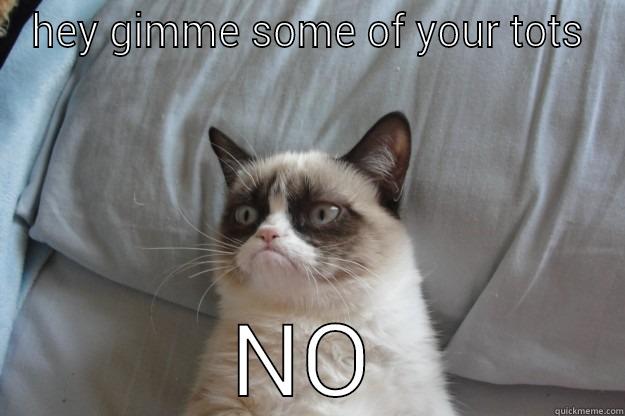 HEY GIMME SOME OF YOUR TOTS NO Grumpy Cat