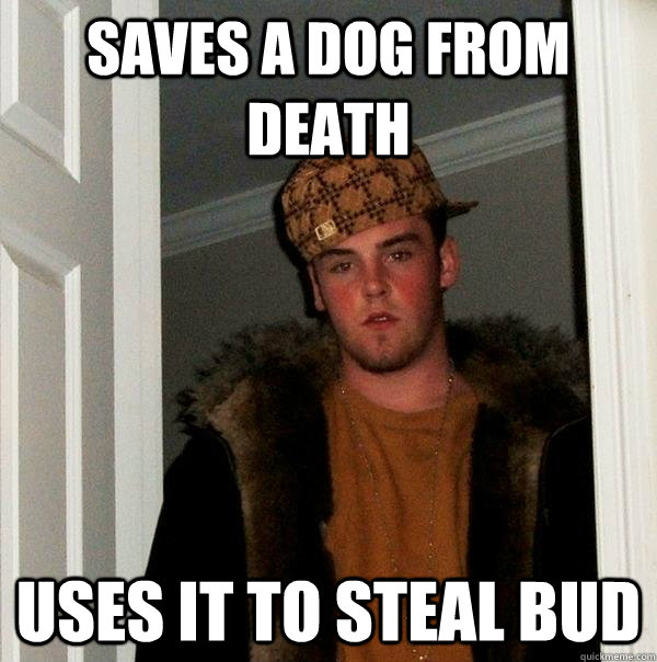 saves a dog from death uses it to steal bud  Scumbag Steve