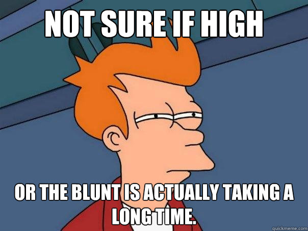 Not sure if high Or the blunt is actually taking a long time. - Not sure if high Or the blunt is actually taking a long time.  Futurama Fry