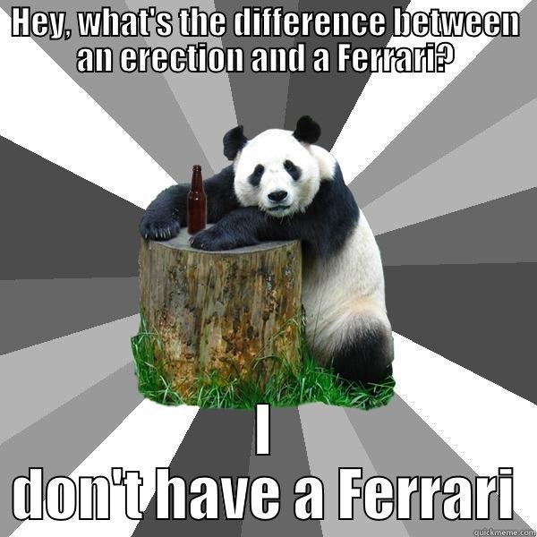 Ferrari Erection - HEY, WHAT'S THE DIFFERENCE BETWEEN AN ERECTION AND A FERRARI? I DON'T HAVE A FERRARI Pickup-Line Panda