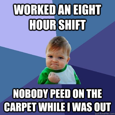 worked an eight hour shift nobody peed on the carpet while I was out  Success Kid