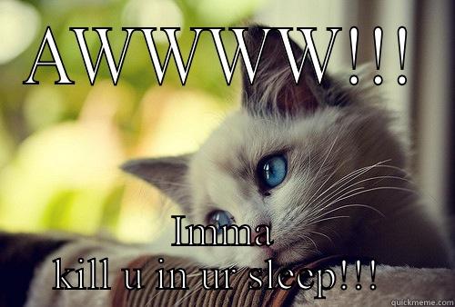 AWWWW!!! IMMA KILL U IN UR SLEEP!!!  First World Problems Cat