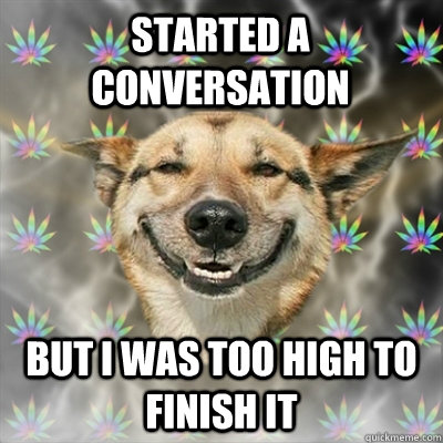 Started a conversation but I was too high to finish it  Stoner Dog