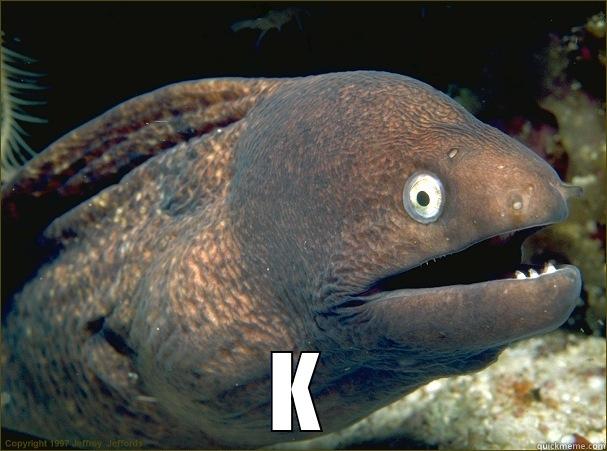  K Bad Joke Eel