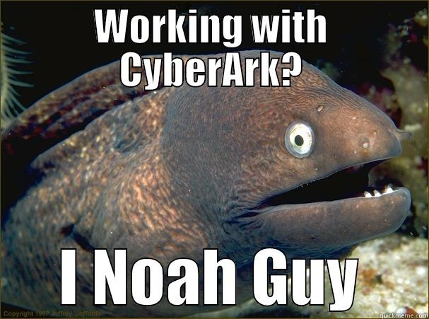 WORKING WITH CYBERARK? I NOAH GUY Bad Joke Eel