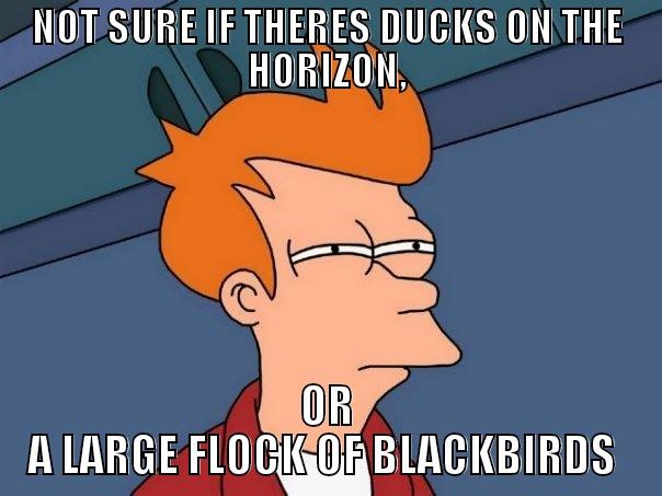 NOT SURE IF THERES DUCKS ON THE HORIZON, OR A LARGE FLOCK OF BLACKBIRDS  Futurama Fry