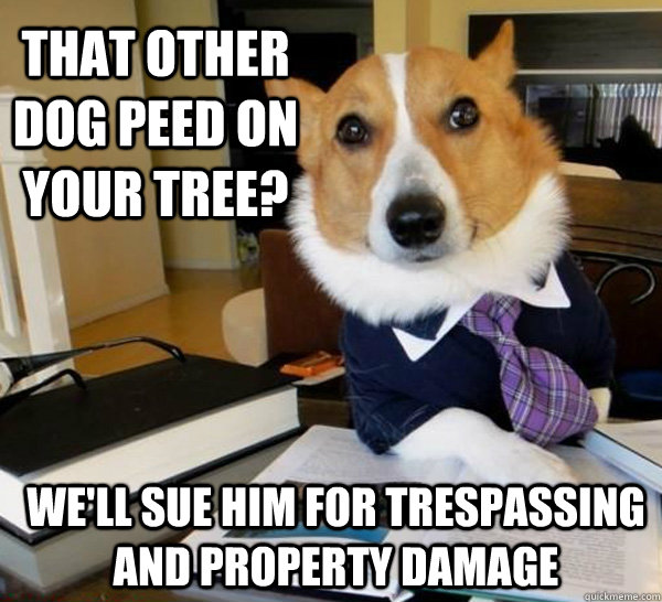 That other dog peed on your tree? We'll sue him for trespassing and property damage  Lawyer Dog