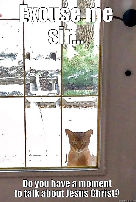 Jesus Christ Cat - EXCUSE ME SIR... DO YOU HAVE A MOMENT TO TALK ABOUT JESUS CHRIST? Misc