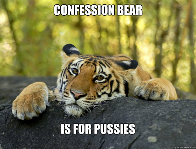 Confession bear is for pussies  Confession Tiger