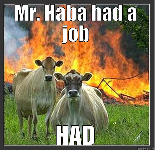 Had a job - MR. HABA HAD A JOB HAD Evil cows