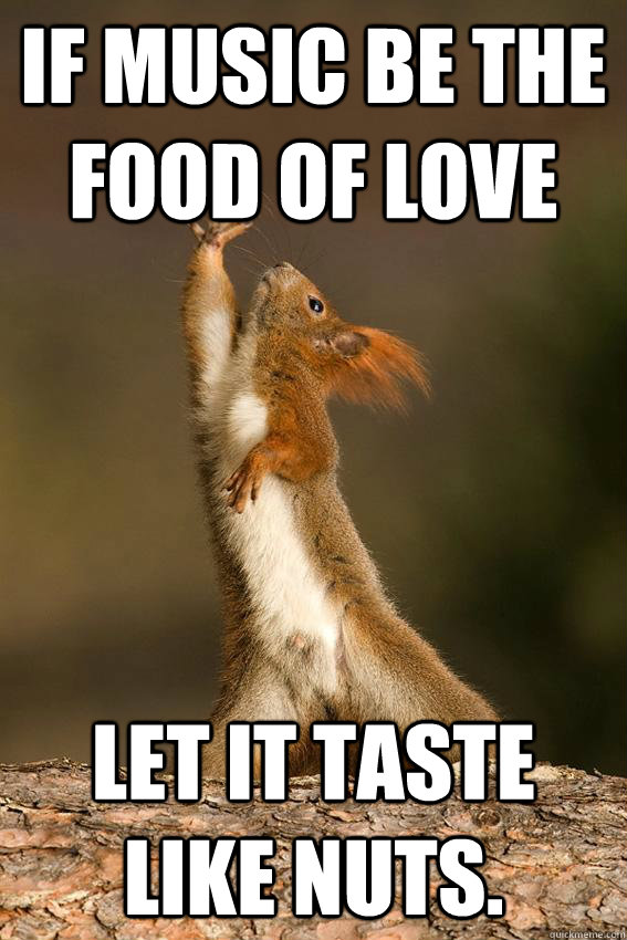 If music be the food of love let it taste like nuts.  Shakespeare Squirrel