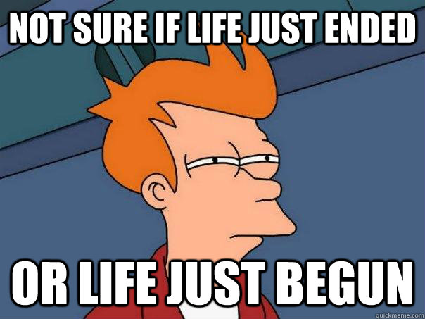 Not sure if life just ended or life just begun  Futurama Fry