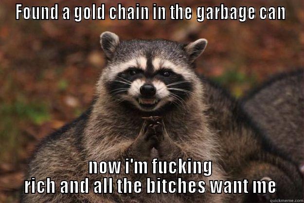 FOUND A GOLD CHAIN IN THE GARBAGE CAN NOW I'M FUCKING RICH AND ALL THE BITCHES WANT ME Evil Plotting Raccoon