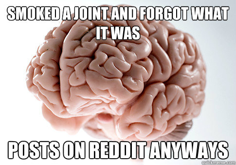 Smoked a joint and forgot what it was Posts on reddit anyways  Scumbag Brain