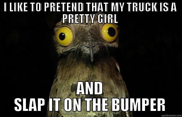 I LIKE TO PRETEND THAT MY TRUCK IS A PRETTY GIRL AND SLAP IT ON THE BUMPER Misc