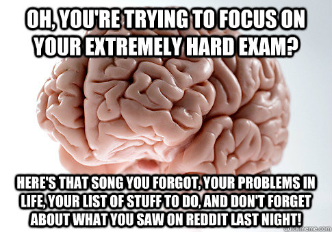 Oh, You're trying to focus on your extremely hard exam? Here's that song you forgot, your problems in life, your list of stuff to do, and don't forget about what you saw on reddit last night!  Scumbag Brain