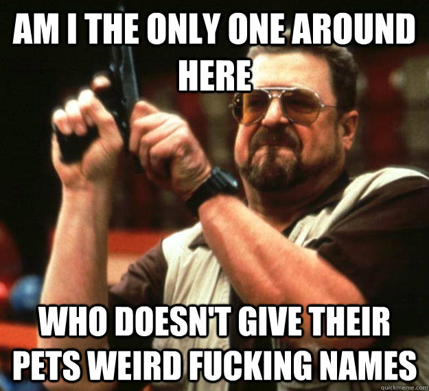 am I the only one around here who doesn't give their pets weird fucking names  Angry Walter