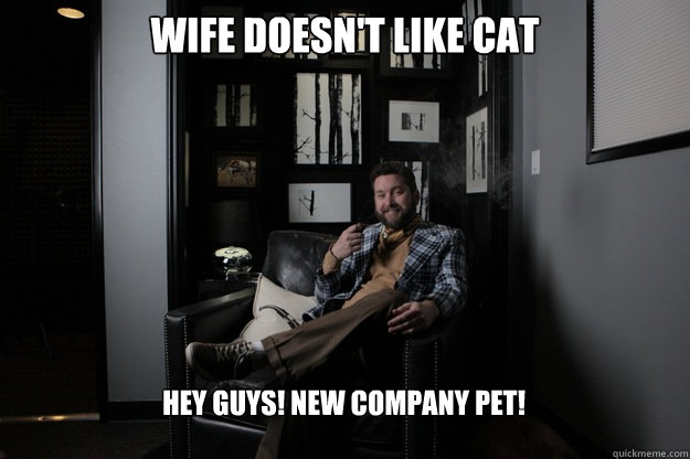 Wife doesn't like cat Hey Guys! New company pet!  benevolent bro burnie