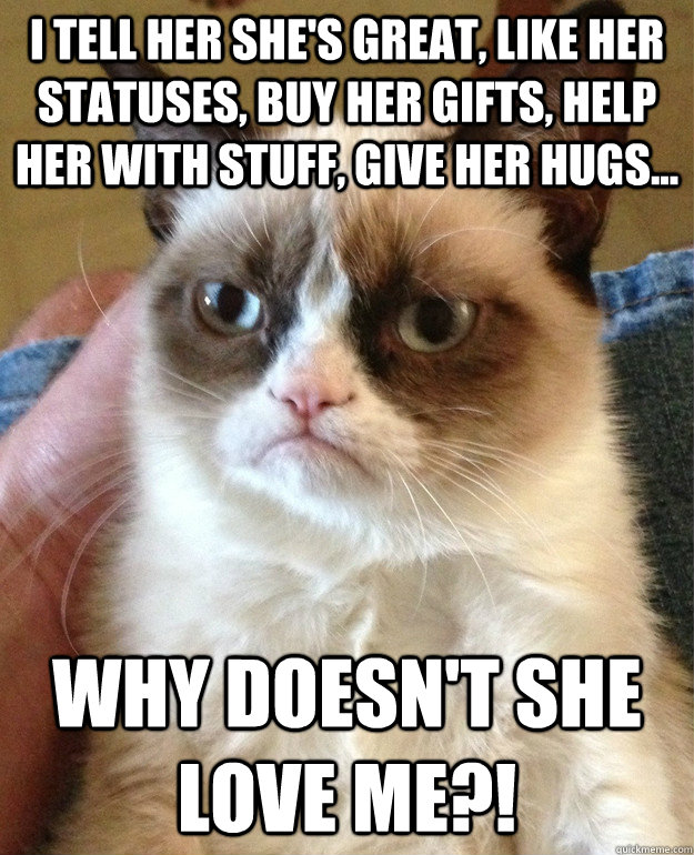 I tell her she's great, like her statuses, buy her gifts, help her with stuff, give her hugs... why doesn't she love me?!  Grumpy Cat