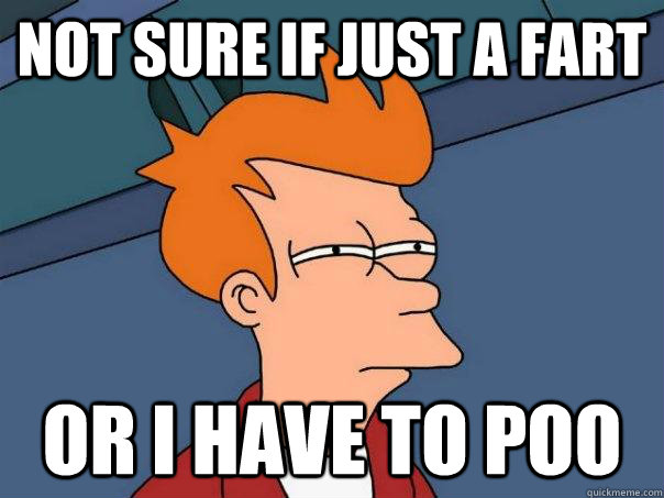 Not sure if just a fart Or i have to poo - Not sure if just a fart Or i have to poo  Futurama Fry