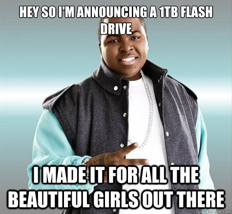 Hey so i'm announcing a 1tb flash drive I made it for all the beautiful girls out there - Hey so i'm announcing a 1tb flash drive I made it for all the beautiful girls out there  Good Guy Kingston