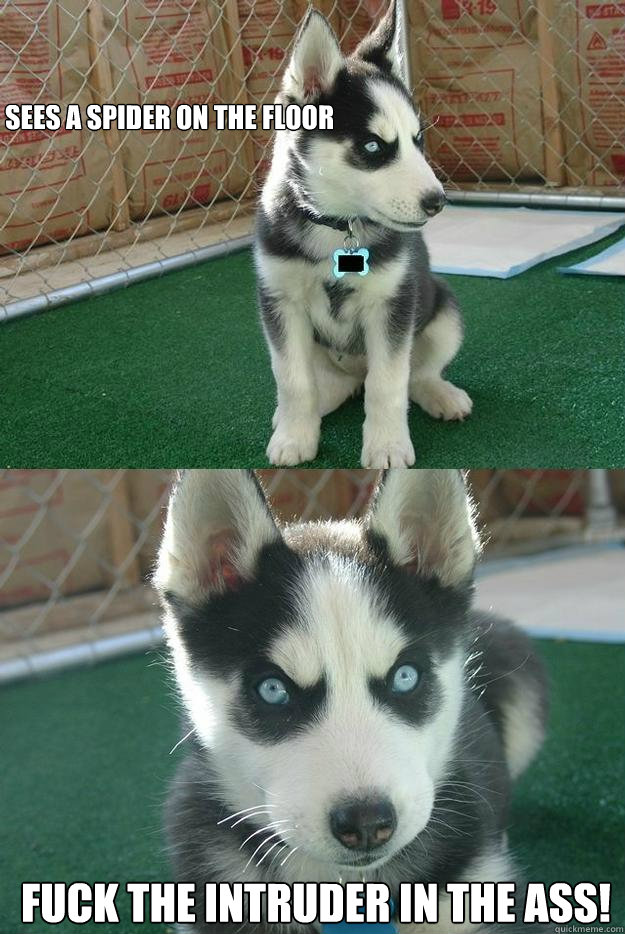 Sees a spider on the floor Fuck the intruder in the ass!  Insanity puppy