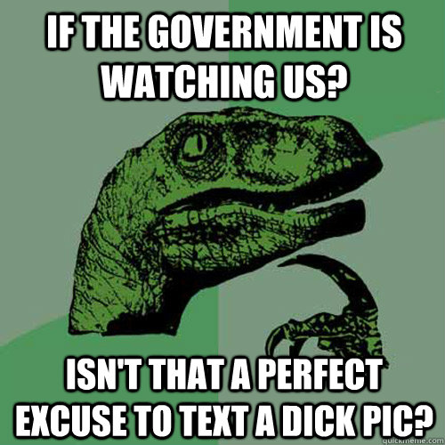 If the government is watching us? Isn't that a perfect excuse to text a dick pic?  Philosoraptor