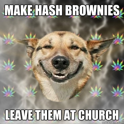 make hash brownies leave them at church  Stoner Dog