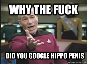 why the fuck did you google hippo penis  Annoyed Picard