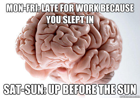 mon-fri: late for work because you slept in sat-sun: up before the sun  Scumbag Brain