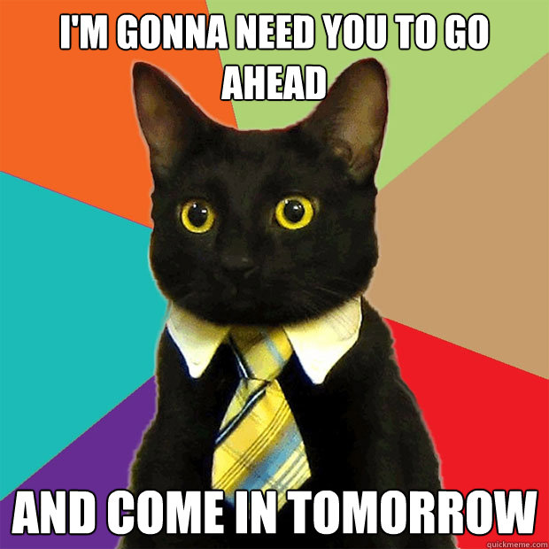 I'm gonna need you to go ahead and come in tomorrow  Business Cat