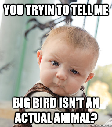 you tryin to tell me Big bird isn't an actual animal?  skeptical baby