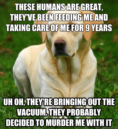 These humans are great, they've been feeding me and taking care of me for 9 years uh Oh, they're bringing out the vacuum. they probably decided to murder me with it  Dog Logic