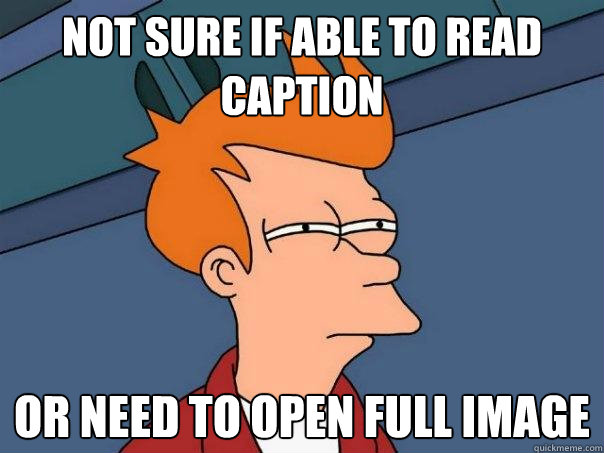 Not sure if able to read caption or need to open full image  Futurama Fry