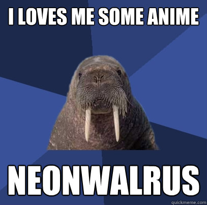 I loves me some anime neonwalrus  Web Developer Walrus