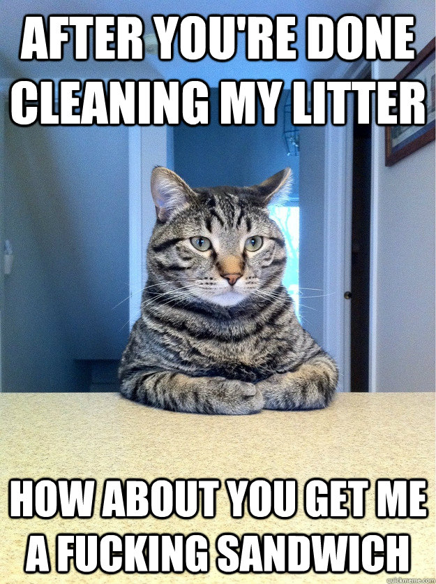 after you're done cleaning my litter How about you get me a fucking sandwich  Chris Hansen Cat