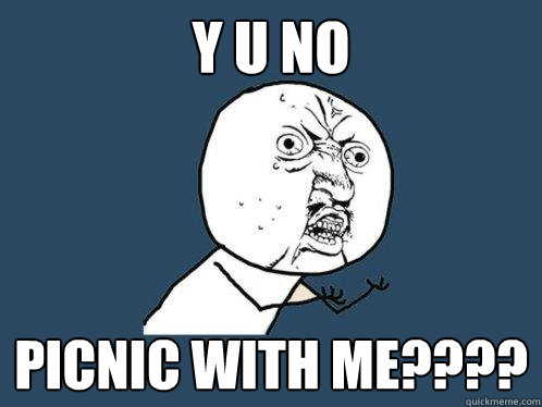 Y U NO PICNIC WITH ME????  Y U No