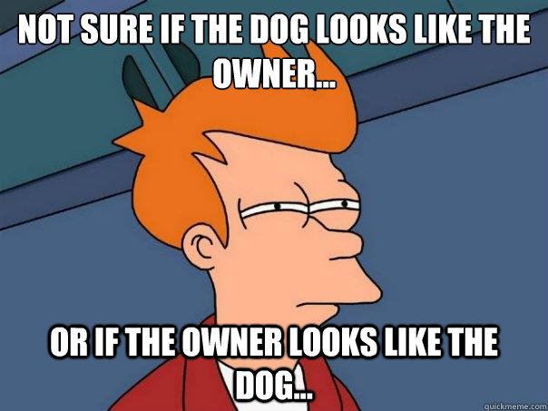 not sure if the dog looks like the owner... or if the owner looks like the dog...  Futurama Fry