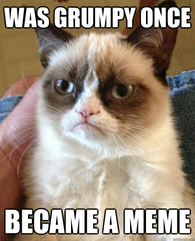 was grumpy once became a meme  Grumpy Cat is so sick of this shit